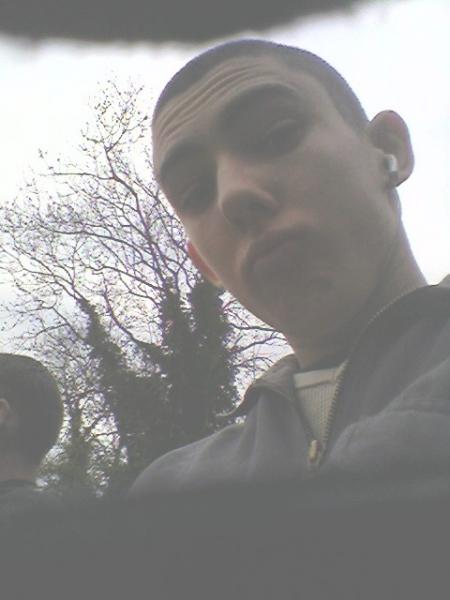 FluD